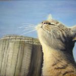 KATER (2008)